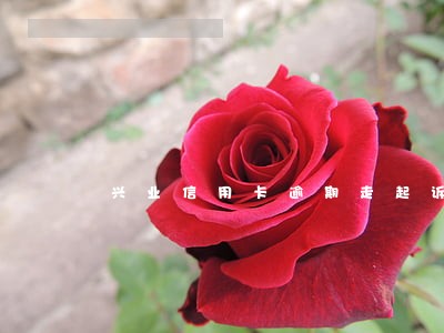 兴业信用卡逾期走起诉流程了 兴业信用卡逾期走起诉流程了