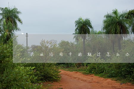 兴业信用卡逾期过怎么办