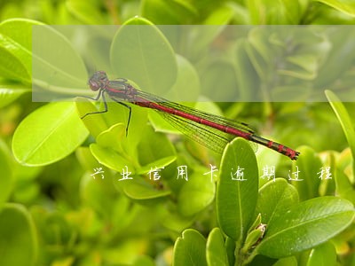 兴业信用卡逾期过程 兴业信用卡逾期过程