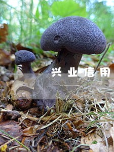 兴业信用卡逾期还完后 兴业信用卡逾期还完后
