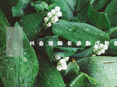 兴业信用卡逾期还款会怎样 兴业信用卡逾期还款会怎样