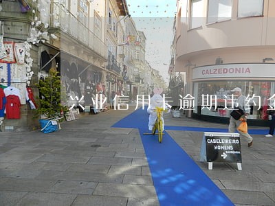 兴业信用卡逾期违约金 兴业信用卡逾期违约金