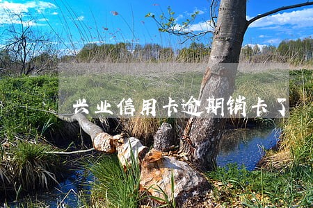 兴业信用卡逾期销卡了 兴业信用卡逾期销卡了