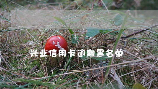 兴业信用卡逾期黑名单 兴业信用卡逾期黑名单