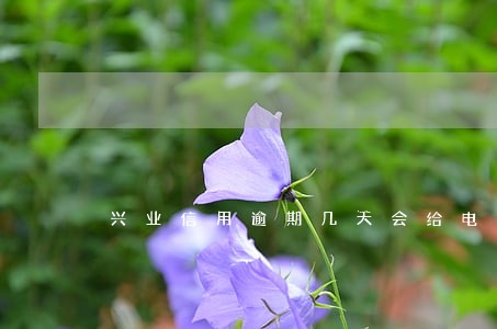 兴业信用逾期几天会给电话么