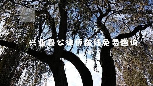 兴业县公律师在线免费咨询 兴业县公律师在线免费咨询
