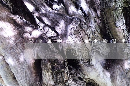 兴业备用金信用卡逾期半年 兴业备用金信用卡逾期半年