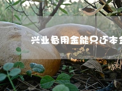 兴业备用金能只还本金 兴业备用金能只还本金