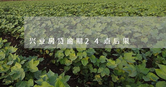 兴业房贷逾期24点后果 兴业房贷逾期24点后果