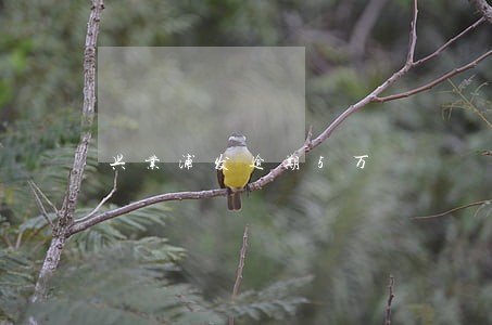 兴业浦发逾期5万 兴业浦发逾期5万
