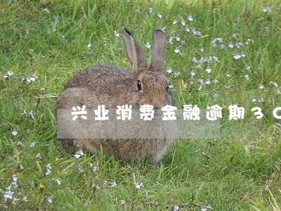 兴业消费金融逾期300天 兴业消费金融逾期300天