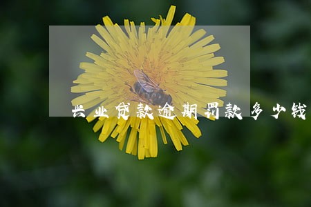 兴业贷款逾期罚款多少钱 兴业贷款逾期罚款多少钱