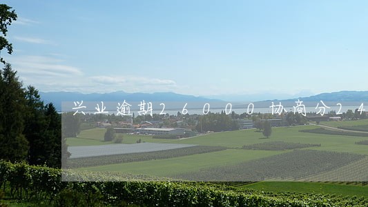 兴业逾期26000协商分24期 兴业逾期26000协商分24期
