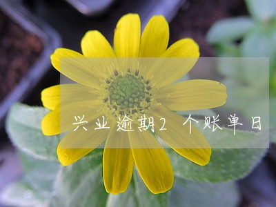 兴业逾期2个账单日 兴业逾期2个账单日
