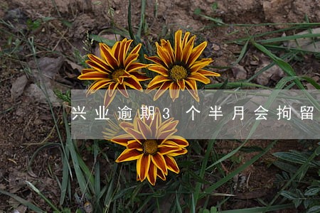 兴业逾期3个半月会拘留 兴业逾期3个半月会拘留