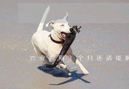 兴业逾期3个月还清能解封吗 兴业逾期3个月还清能解封吗