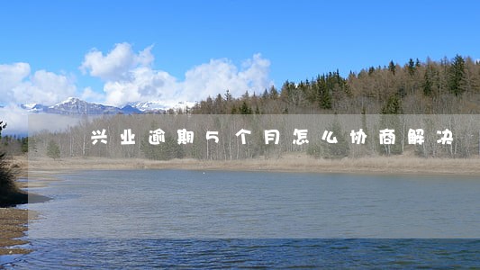 兴业逾期5个月怎么协商解决 兴业逾期5个月怎么协商解决