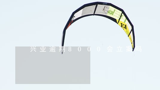 兴业逾期8000会立案吗