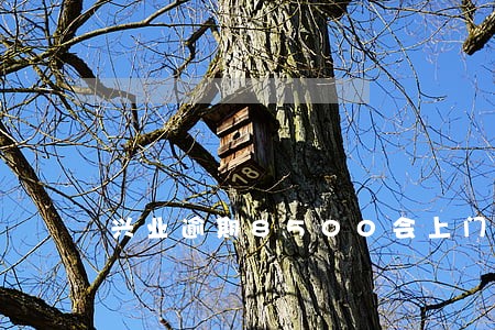 兴业逾期8500会上门催收 兴业逾期8500会上门催收