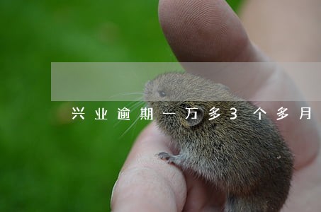 兴业逾期一万多3个多月 兴业逾期一万多3个多月