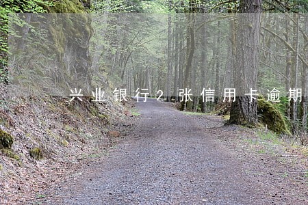 兴业银行2张信用卡逾期怎么还