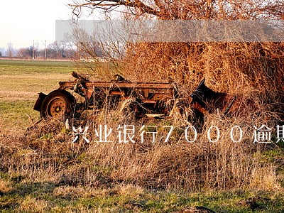 兴业银行7000逾期3年 兴业银行7000逾期3年