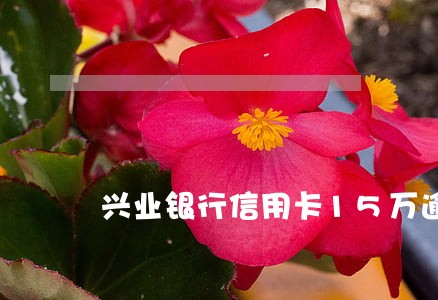 兴业银行信用卡15万逾期