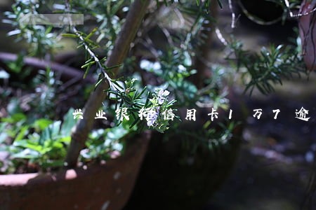 兴业银行信用卡1万7逾期
