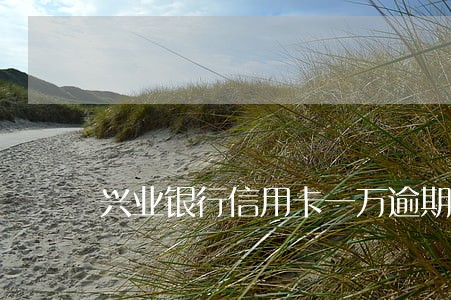 兴业银行信用卡一万逾期两年 兴业银行信用卡一万逾期两年