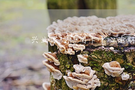 兴业银行信用卡中心逾期还了钱