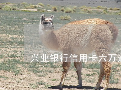 兴业银行信用卡六万逾期四个月了 兴业银行信用卡六万逾期四个月了