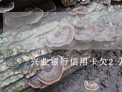 兴业银行信用卡欠2万逾期4个月 兴业银行信用卡欠2万逾期4个月