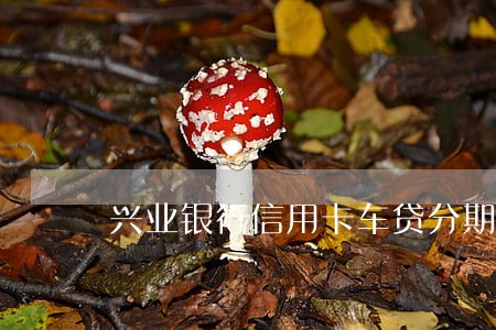 兴业银行信用卡车贷分期逾期