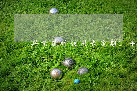 兴业银行信用卡逾期1年多 兴业银行信用卡逾期1年多