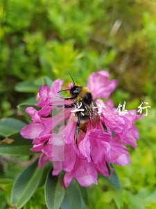 兴业银行信用卡逾期50天 兴业银行信用卡逾期50天