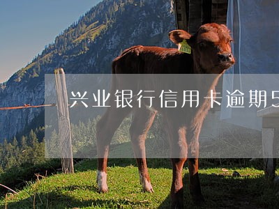 兴业银行信用卡逾期5天还多少钱 兴业银行信用卡逾期5天还多少钱