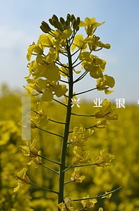 兴业银行信用卡逾期9w