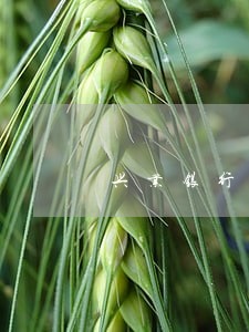兴业银行信用卡逾期一个礼拜还款 兴业银行信用卡逾期一个礼拜还款