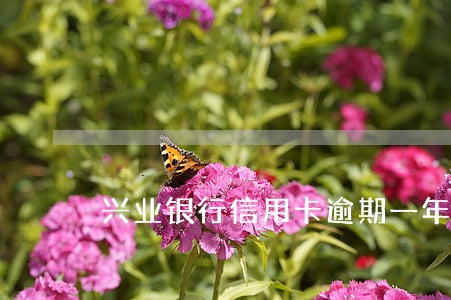 兴业银行信用卡逾期一年开庭 兴业银行信用卡逾期一年开庭