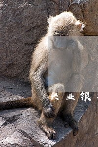 兴业银行信用卡逾期三月 兴业银行信用卡逾期三月