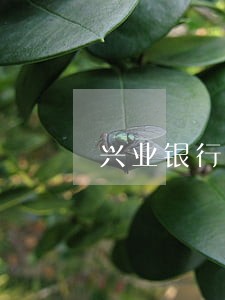兴业银行信用卡逾期上门报案