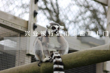 兴业银行信用卡逾期上门还钱