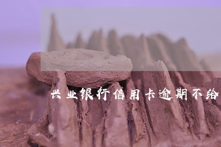 兴业银行信用卡逾期不给协商 兴业银行信用卡逾期不给协商
