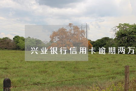 兴业银行信用卡逾期两万 兴业银行信用卡逾期两万