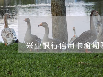 兴业银行信用卡逾期两万五