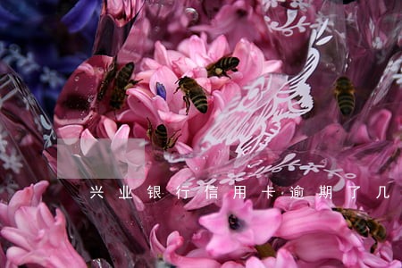 兴业银行信用卡逾期了几天