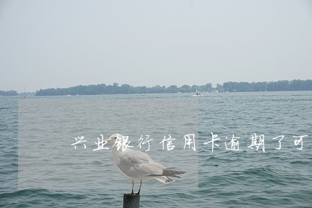 兴业银行信用卡逾期了可以分期吗 兴业银行信用卡逾期了可以分期吗