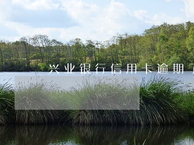 兴业银行信用卡逾期了怎么解决 兴业银行信用卡逾期了怎么解决