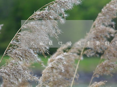 兴业银行信用卡逾期了还能激活吗