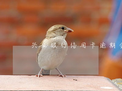 兴业银行信用卡逾期会停用吗 兴业银行信用卡逾期会停用吗